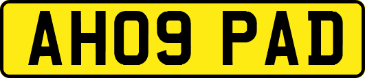 AH09PAD
