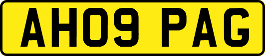 AH09PAG