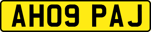 AH09PAJ