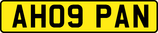 AH09PAN