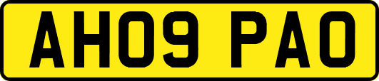 AH09PAO