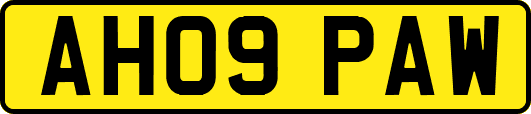 AH09PAW