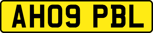 AH09PBL