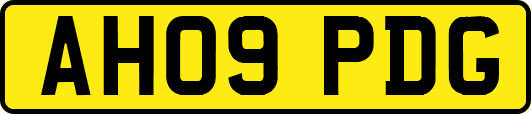 AH09PDG