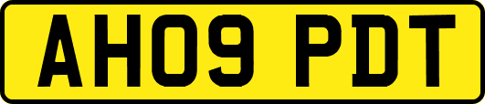AH09PDT