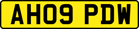 AH09PDW