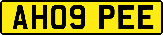 AH09PEE