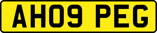 AH09PEG