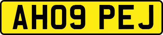 AH09PEJ