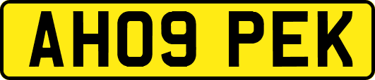 AH09PEK
