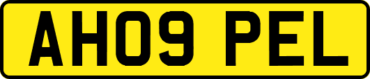 AH09PEL