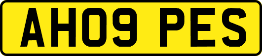 AH09PES