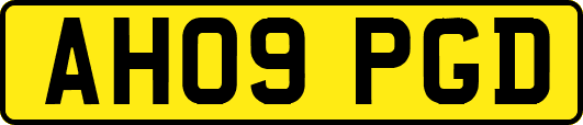 AH09PGD