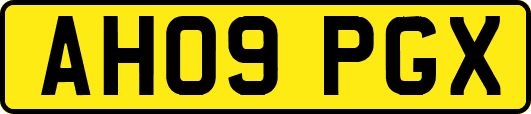 AH09PGX