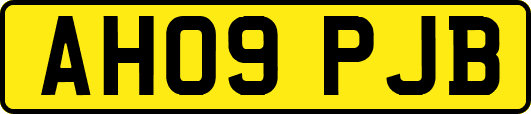 AH09PJB