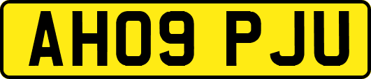 AH09PJU