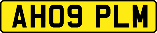 AH09PLM