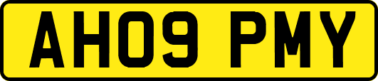AH09PMY