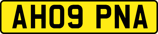 AH09PNA