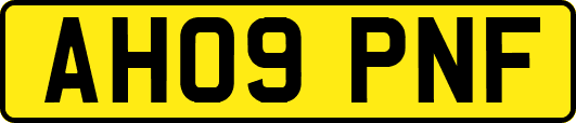 AH09PNF