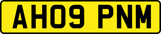 AH09PNM