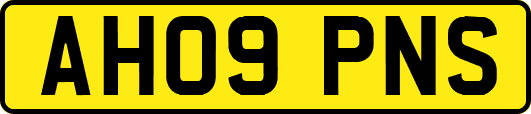 AH09PNS