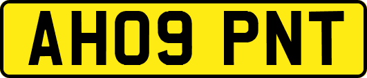 AH09PNT