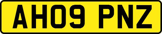 AH09PNZ