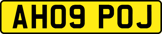 AH09POJ
