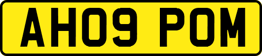 AH09POM