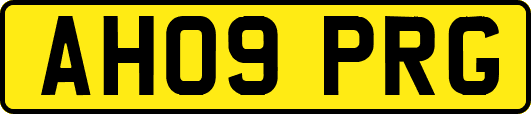 AH09PRG