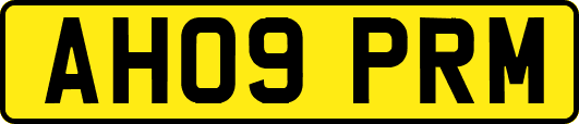 AH09PRM