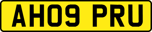 AH09PRU