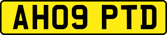 AH09PTD