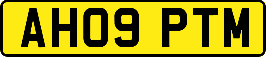 AH09PTM