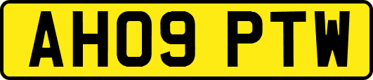 AH09PTW