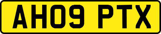 AH09PTX