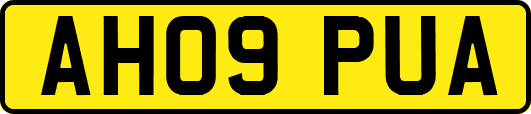 AH09PUA