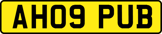 AH09PUB
