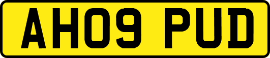 AH09PUD