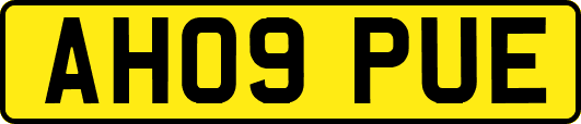 AH09PUE