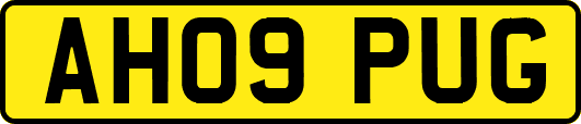 AH09PUG