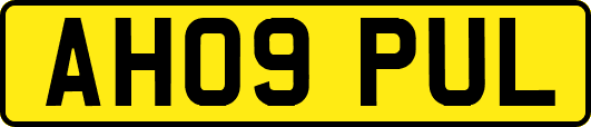 AH09PUL