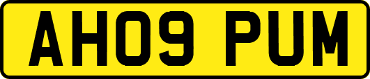 AH09PUM