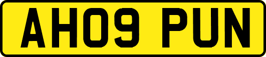 AH09PUN