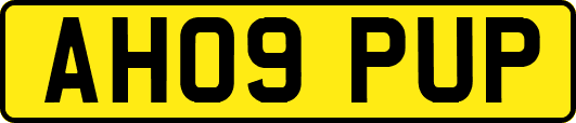 AH09PUP