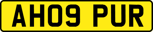 AH09PUR