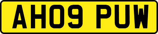 AH09PUW