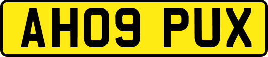 AH09PUX