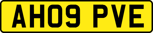 AH09PVE